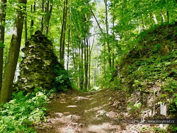 Novy-hrad-1-brana-05.webp