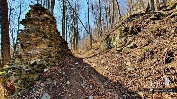 Novy-hrad-1-brana-08.webp