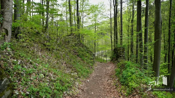 Novy-hrad-1-brana-31.webp