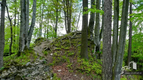 Novy-hrad-hlaska-05.webp
