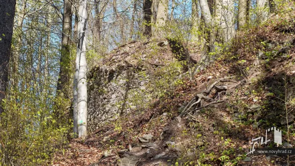 Novy-hrad-hradni-palac-18.webp