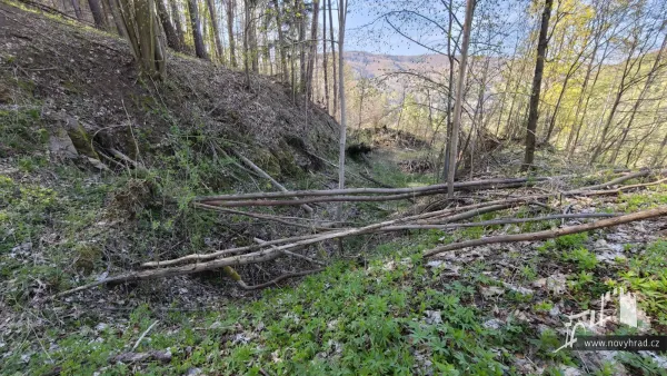 Novy-hrad-prikop-07.webp