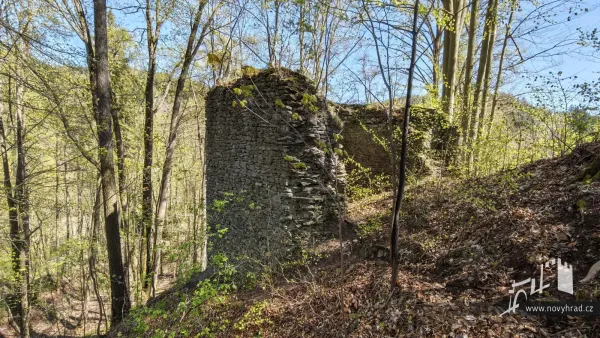 Vež (C)