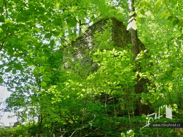 Novy-hrad-vez-C-43.webp
