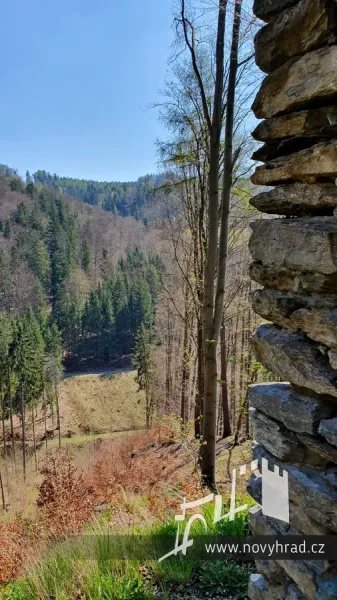 Novy-hrad-vez-E-jizni-03.webp